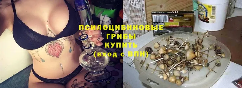 Галлюциногенные грибы мухоморы  Харовск 